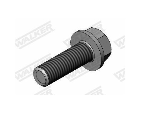 Screw, exhaust system