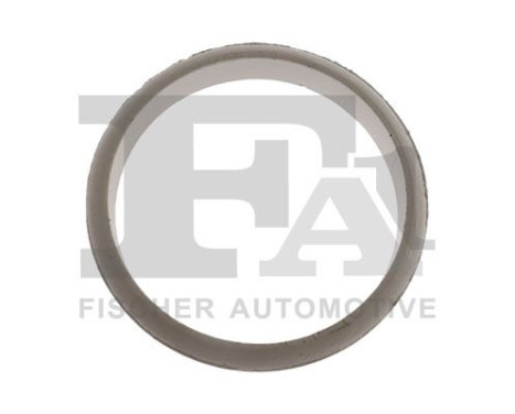 Seal Ring, exhaust pipe