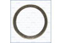 Seal Ring, exhaust pipe