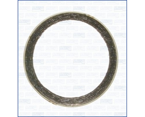 Seal Ring, exhaust pipe