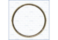 Seal Ring, exhaust pipe