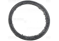 Seal Ring, exhaust pipe