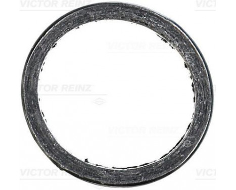 Seal Ring, exhaust pipe