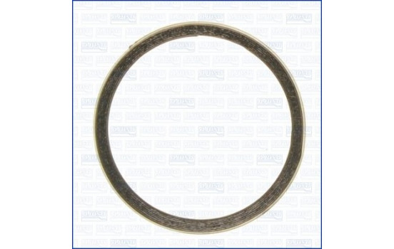 Seal Ring, exhaust pipe