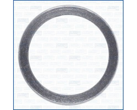 Seal Ring, exhaust pipe
