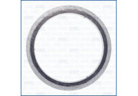 Seal Ring, exhaust pipe