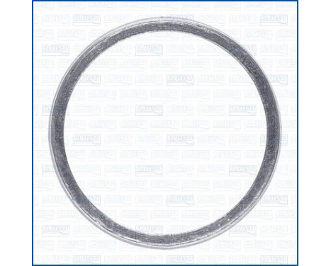 Seal Ring, exhaust pipe