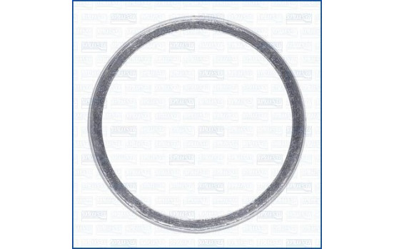 Seal Ring, exhaust pipe