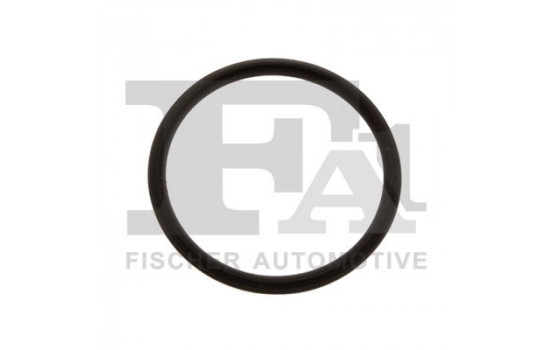 Seal Ring, exhaust pipe