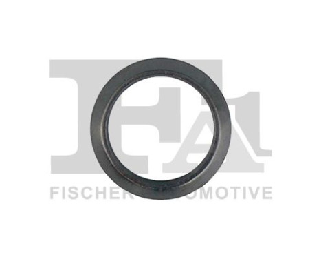 Seal Ring, exhaust pipe