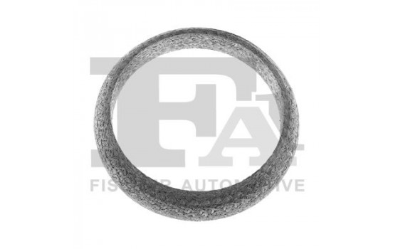 Seal Ring, exhaust pipe