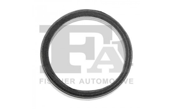 Seal Ring, exhaust pipe