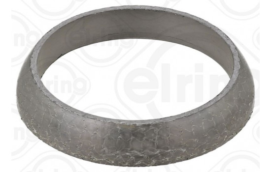 Seal Ring, exhaust pipe