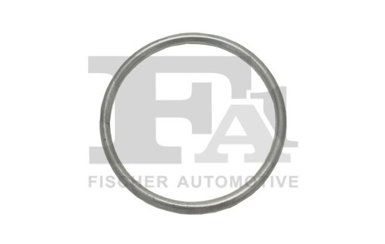 Seal Ring, exhaust pipe