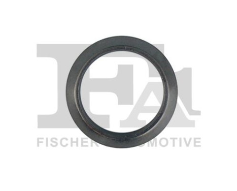 Seal Ring, exhaust pipe