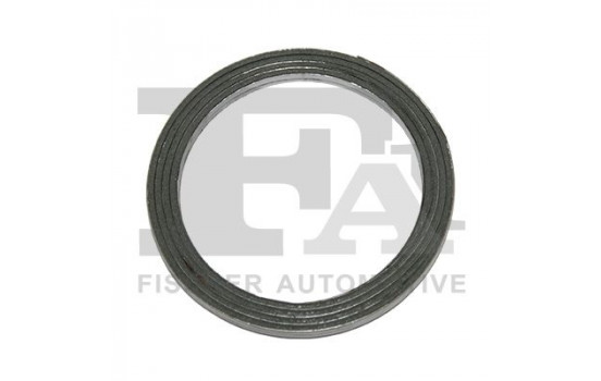 Seal Ring, exhaust pipe