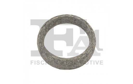 Seal Ring, exhaust pipe