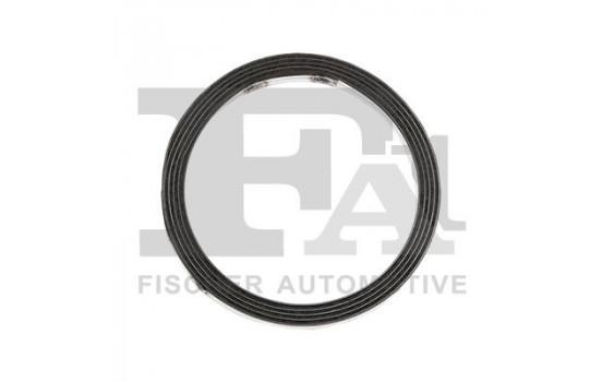 Seal Ring, exhaust pipe