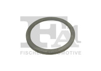 Seal Ring, exhaust pipe