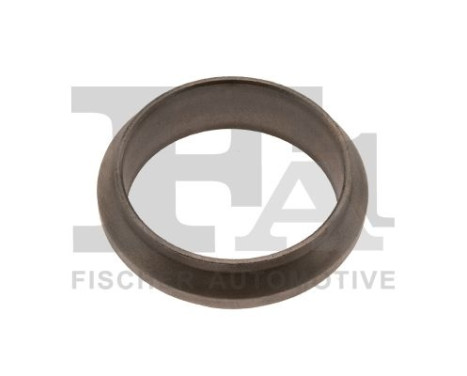 Seal Ring, exhaust pipe