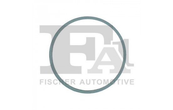 Seal Ring, exhaust pipe