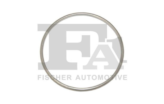 Seal Ring, exhaust pipe