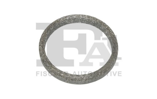 Seal Ring, exhaust pipe