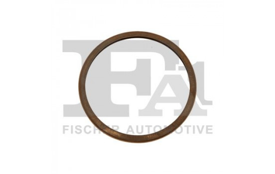 Seal Ring, exhaust pipe