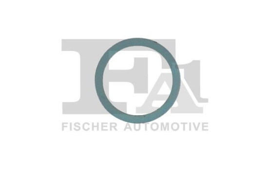 Seal Ring, exhaust pipe