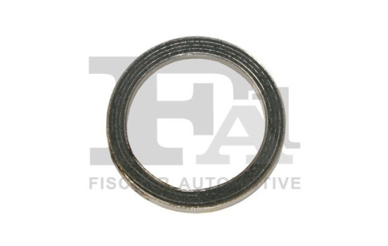 Seal Ring, exhaust pipe