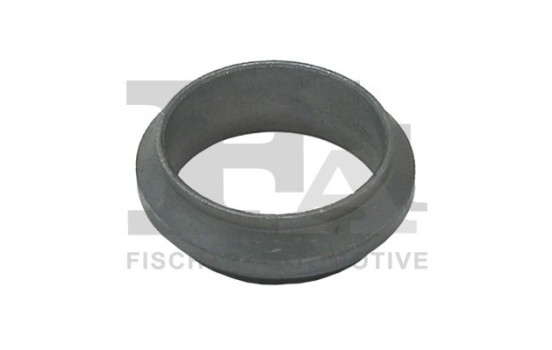 Seal Ring, exhaust pipe