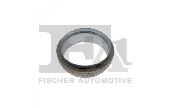 Seal Ring, exhaust pipe