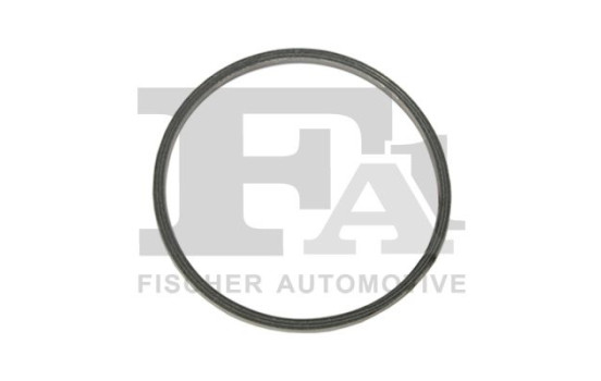 Seal Ring, exhaust pipe