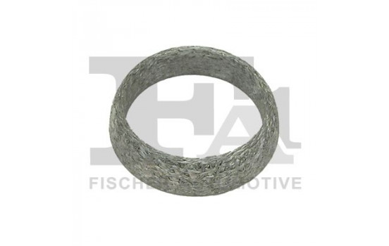 Seal Ring, exhaust pipe