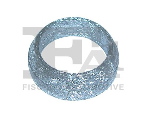 Seal Ring, exhaust pipe