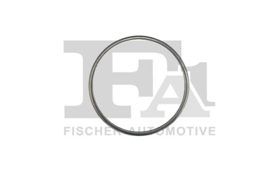 Seal Ring, exhaust pipe