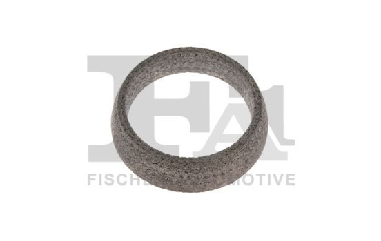 Seal Ring, exhaust pipe