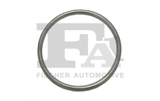 Seal Ring, exhaust pipe