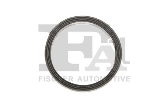 Seal Ring, exhaust pipe