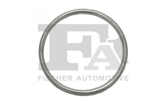 Seal Ring, exhaust pipe