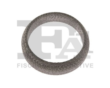 Seal Ring, exhaust pipe