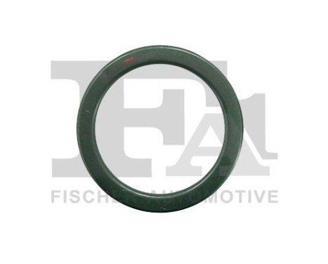 Seal Ring, exhaust pipe