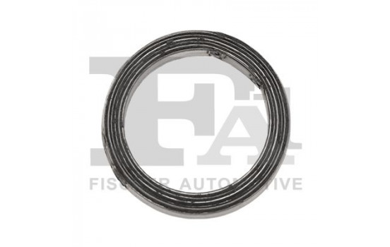 Seal Ring, exhaust pipe