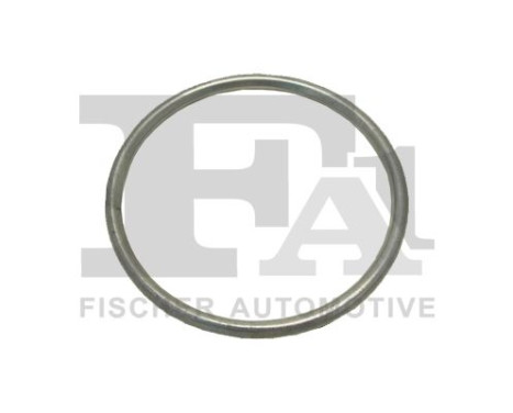 Seal Ring, exhaust pipe