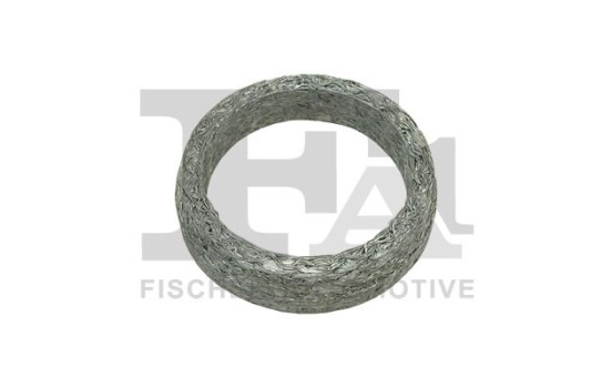 Seal Ring, exhaust pipe