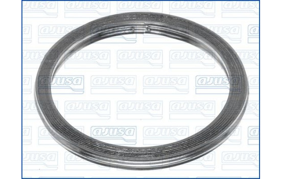 Seal Ring, exhaust pipe, Image 2