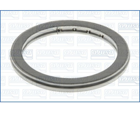 Seal Ring, exhaust pipe, Image 2