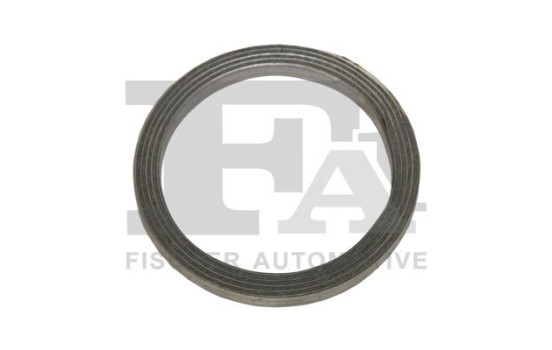 Seal Ring, exhaust pipe