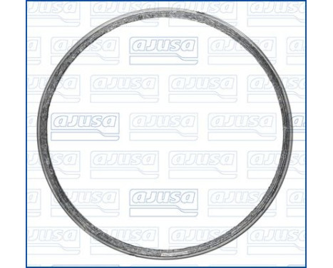 Seal Ring, exhaust pipe