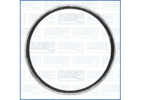 Seal Ring, exhaust pipe